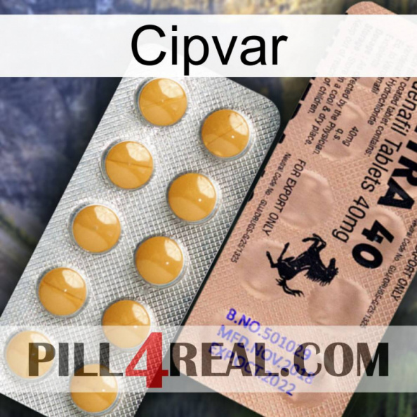 Cipvar 41